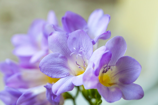 一个人的苦,都是没钱闹的,女人到了中年,记得存钱(图2) 中年女性孤独感_女人一定要存钱_中年男性孤独感