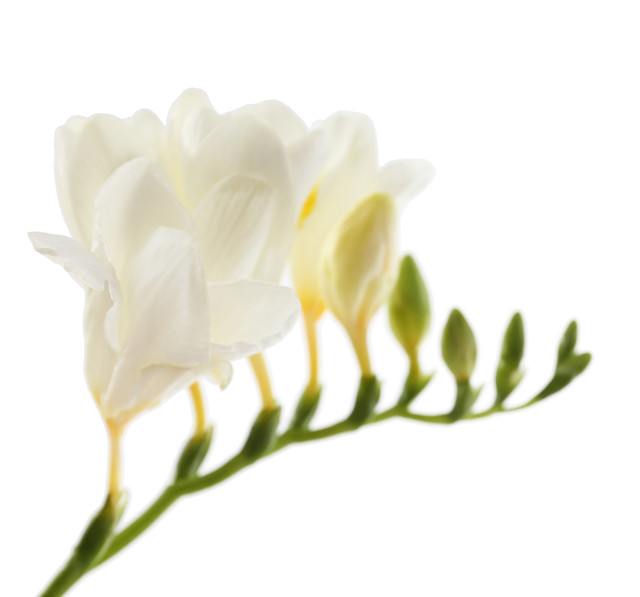 一个人的苦,都是没钱闹的,女人到了中年,记得存钱(图3) 中年男性孤独感_中年女性孤独感_女人一定要存钱