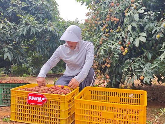 “多多好特产”加码扶持农货商家,上半年农产品销量同比增长47%(图2) 拼多多千亿扶持农产品商家增长_拼多多多多好特产农产品上行_上海特产零食