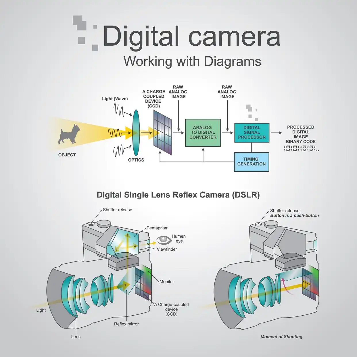 数码相机和CCD到底有啥不同?看完这篇你就懂了!(图2) 数码相机CCD传感器区别_数码单反用的是ccd吗_CCD与CMOS传感器对比
