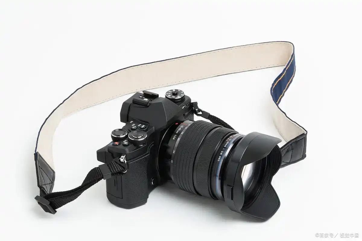 单反相机和数码相机的区别在哪?排名前三的单反相机推荐(图3) 单反相机技术特性分析_数码单反用的是ccd吗_单反相机与数码相机区别