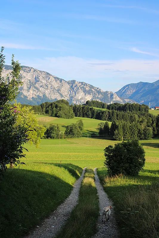 在攀枝花过冬,比三亚爽多了(图12) 攀枝花工业转型与旅游发展_攀枝花景点怎样游玩最合理_攀枝花花海旅游攻略