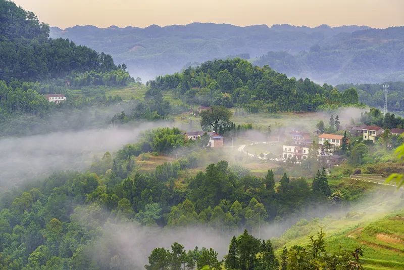 在攀枝花过冬,比三亚爽多了(图13) 攀枝花景点怎样游玩最合理_攀枝花工业转型与旅游发展_攀枝花花海旅游攻略