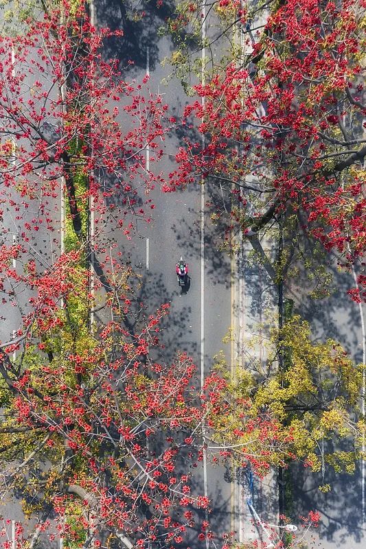 在攀枝花过冬,比三亚爽多了(图15) 攀枝花花海旅游攻略_攀枝花工业转型与旅游发展_攀枝花景点怎样游玩最合理
