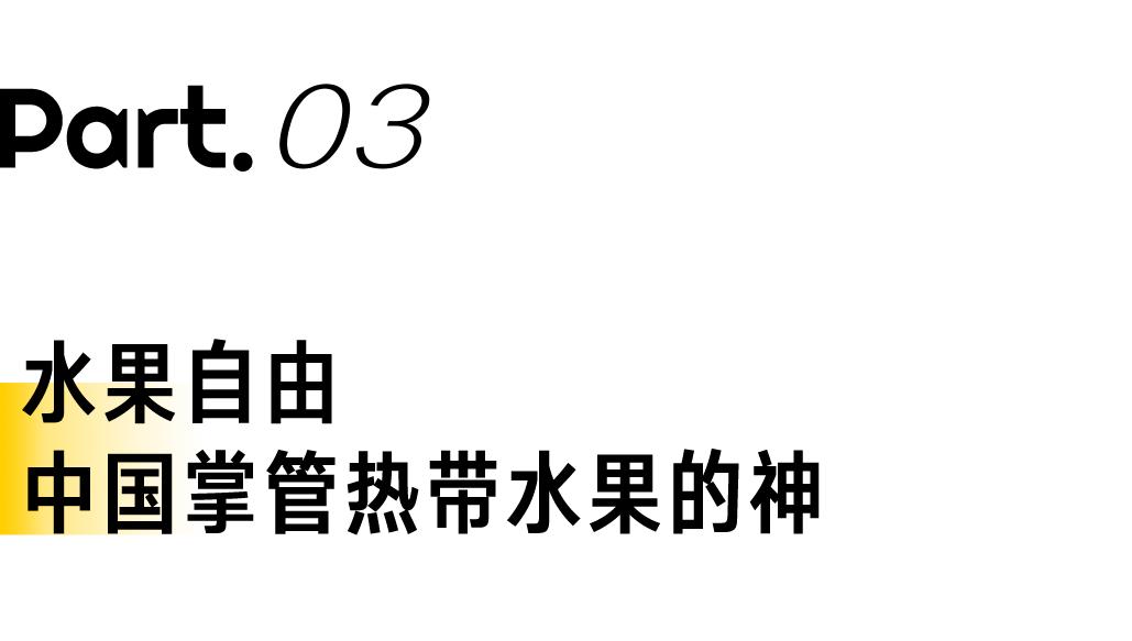 在攀枝花过冬,比三亚爽多了(图17) 攀枝花工业转型与旅游发展_攀枝花景点怎样游玩最合理_攀枝花花海旅游攻略