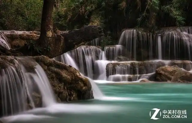 摄影爱好者必读 五种常见拍照技巧解析(图6) 虚化拍摄方法_手机摄影技巧_数码相机拍摄技巧大全