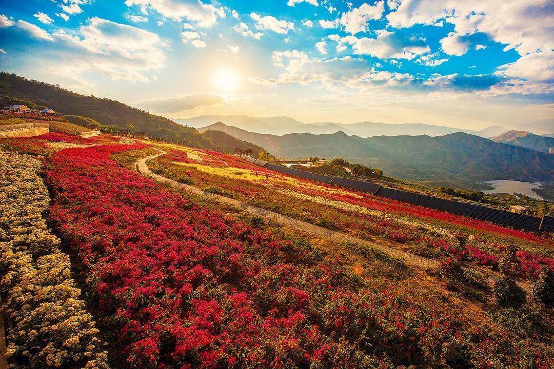 攀枝花市文广旅局局长刘亚玲:动车开通后,让攀枝花成为旅行首选“下一站”(图1) 攀枝花新成昆铁路旅游线路_攀枝花景点怎样游玩最合理_成都到攀枝花旅游攻略