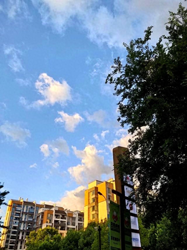 女人有钱才硬气,这话真不假(图1) 经济独立的女人_女人一定要存钱_女人有钱才硬气