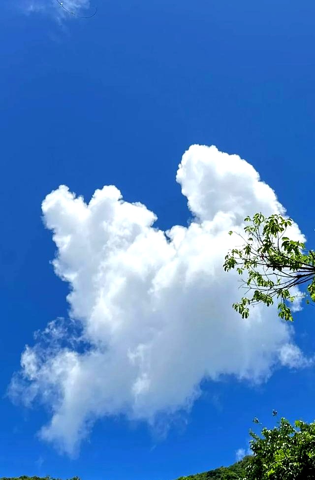 女人有钱才硬气,这话真不假(图4) 女人有钱才硬气_女人一定要存钱_经济独立的女人