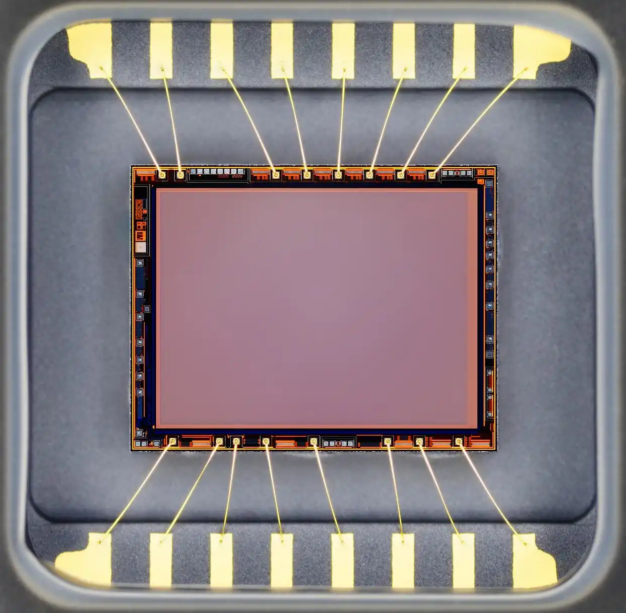 数码相机VS CCD:谁才是摄影界的王者?一文读懂两者的本质区别!(图2) 数码相机与CCD传感器区别_CCD传感器工作原理_数码单反用的是ccd吗