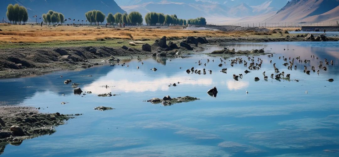 中国气象局权威推荐!新疆这条避暑路线“趁热”出炉(图6) 阿勒泰夏季旅游气候舒适度_吉木乃县景区_新疆阿勒泰暑期避暑旅游路线