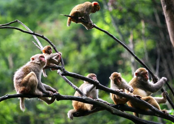 临安最全A级景区名录表出炉 | 每一张照片都美到极致!(图10) 浙江省临安市旅游景点_临安A级旅游景区列表_大明山4A级景区介绍