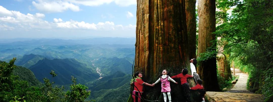 临安最全A级景区名录表出炉 | 每一张照片都美到极致!(图11) 临安A级旅游景区列表_浙江省临安市旅游景点_大明山4A级景区介绍