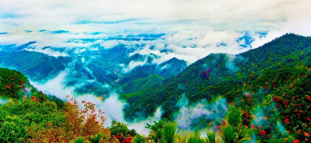 临安最全A级景区名录表出炉 | 每一张照片都美到极致!(图13) 临安A级旅游景区列表_浙江省临安市旅游景点_大明山4A级景区介绍