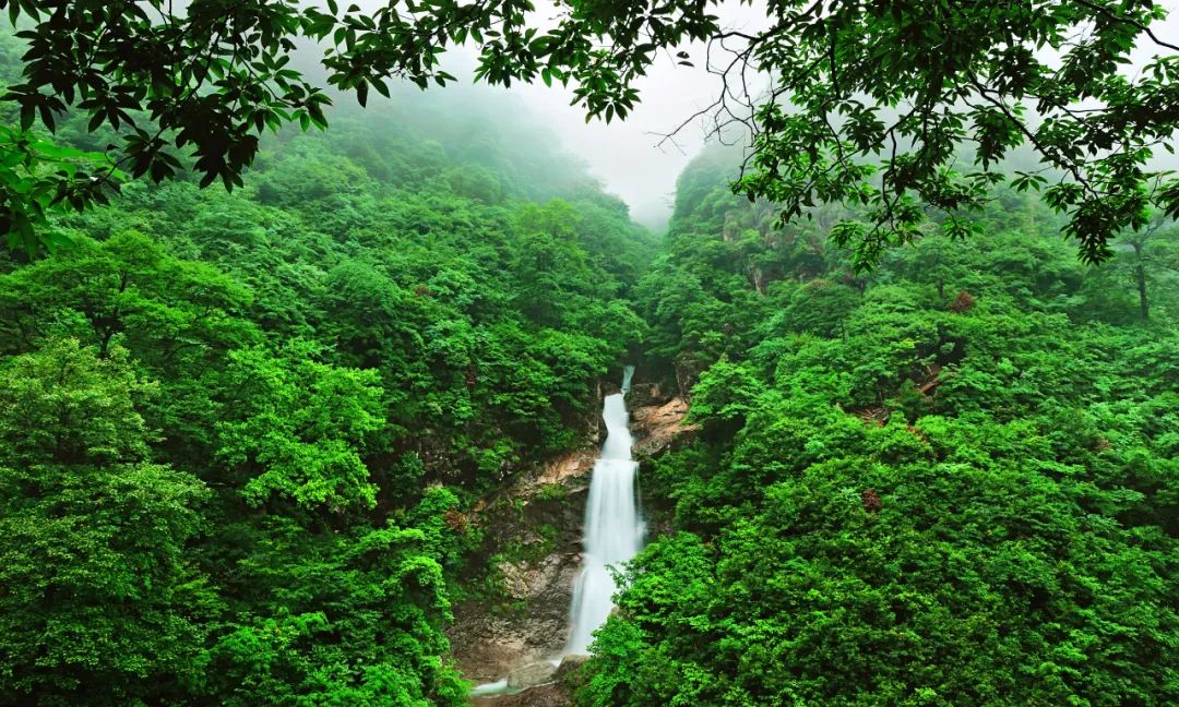 临安最全A级景区名录表出炉 | 每一张照片都美到极致!(图18) 浙江省临安市旅游景点_临安A级旅游景区列表_大明山4A级景区介绍