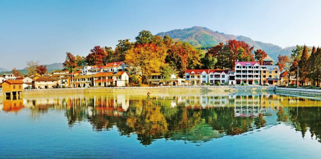 临安最全A级景区名录表出炉 | 每一张照片都美到极致!(图25) 浙江省临安市旅游景点_临安A级旅游景区列表_大明山4A级景区介绍