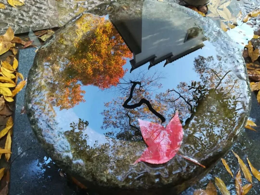 临安最全A级景区名录表出炉 | 每一张照片都美到极致!(图27) 浙江省临安市旅游景点_临安A级旅游景区列表_大明山4A级景区介绍