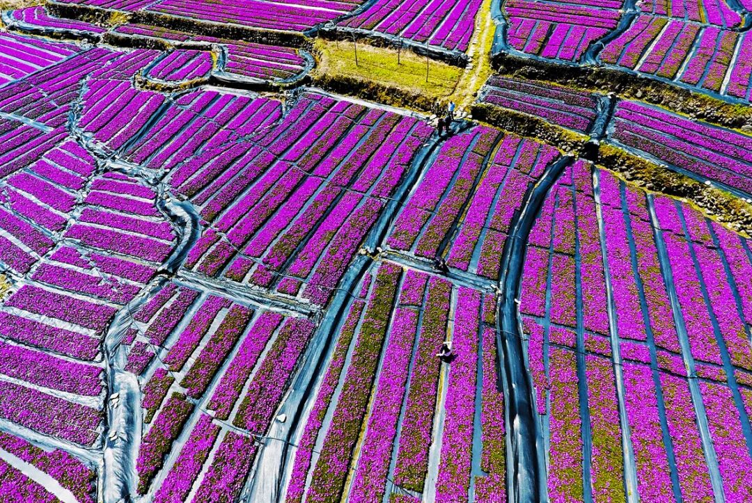 临安最全A级景区名录表出炉 | 每一张照片都美到极致!(图36) 临安A级旅游景区列表_大明山4A级景区介绍_浙江省临安市旅游景点