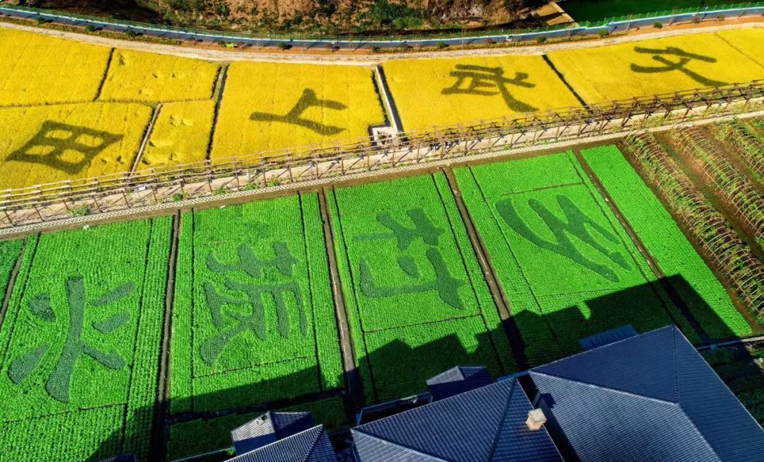 临安最全A级景区名录表出炉 | 每一张照片都美到极致!(图37) 临安A级旅游景区列表_浙江省临安市旅游景点_大明山4A级景区介绍