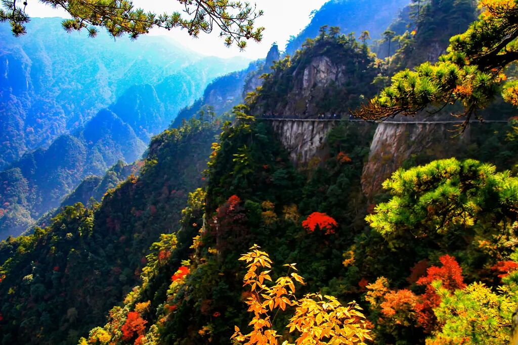 临安最全A级景区名录表出炉 | 每一张照片都美到极致!(图4) 浙江省临安市旅游景点_大明山4A级景区介绍_临安A级旅游景区列表