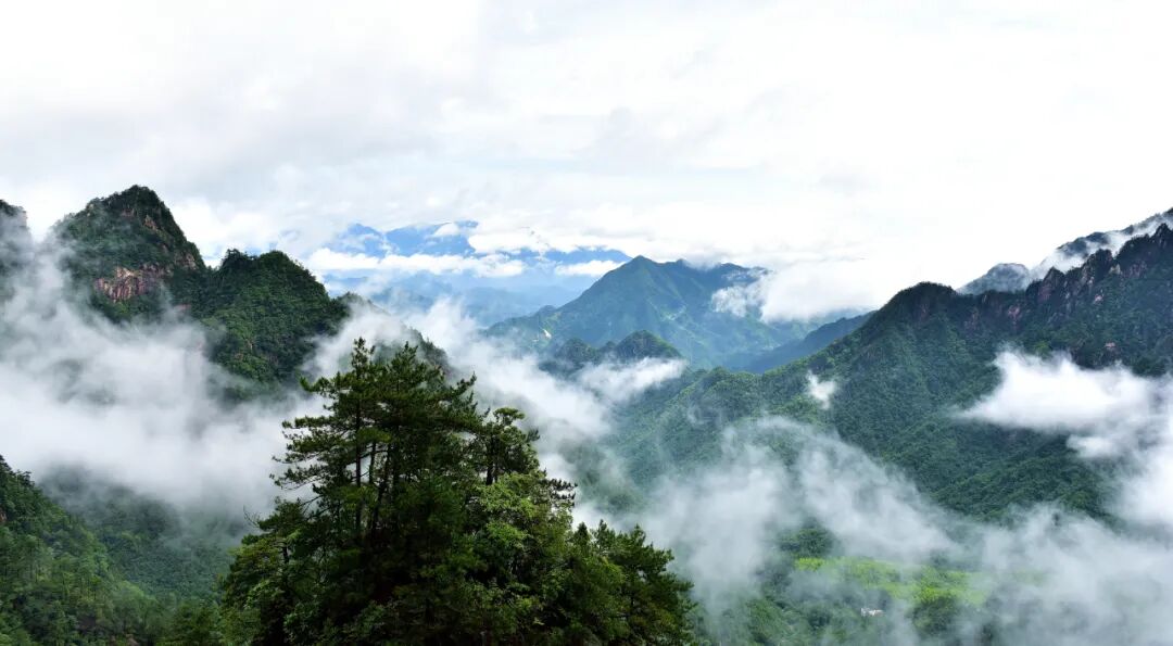 临安最全A级景区名录表出炉 | 每一张照片都美到极致!(图5) 大明山4A级景区介绍_浙江省临安市旅游景点_临安A级旅游景区列表