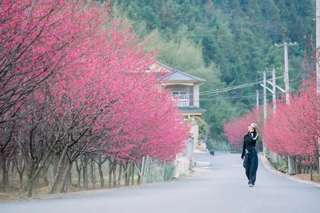 2025旅行计划,从临安开始!(图12) 临安大明山滑雪乐园_浙江省临安市旅游景点_临安百丈岭徒步路线