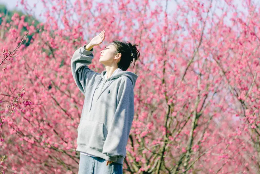 2025旅行计划,从临安开始!(图13) 浙江省临安市旅游景点_临安百丈岭徒步路线_临安大明山滑雪乐园