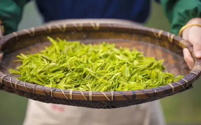 2025旅行计划,从临安开始!(图18) 临安百丈岭徒步路线_临安大明山滑雪乐园_浙江省临安市旅游景点