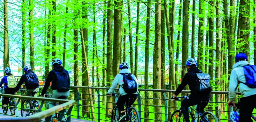 2025旅行计划,从临安开始!(图23) 浙江省临安市旅游景点_临安百丈岭徒步路线_临安大明山滑雪乐园