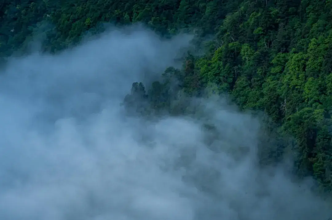 2025旅行计划,从临安开始!(图30) 临安大明山滑雪乐园_浙江省临安市旅游景点_临安百丈岭徒步路线