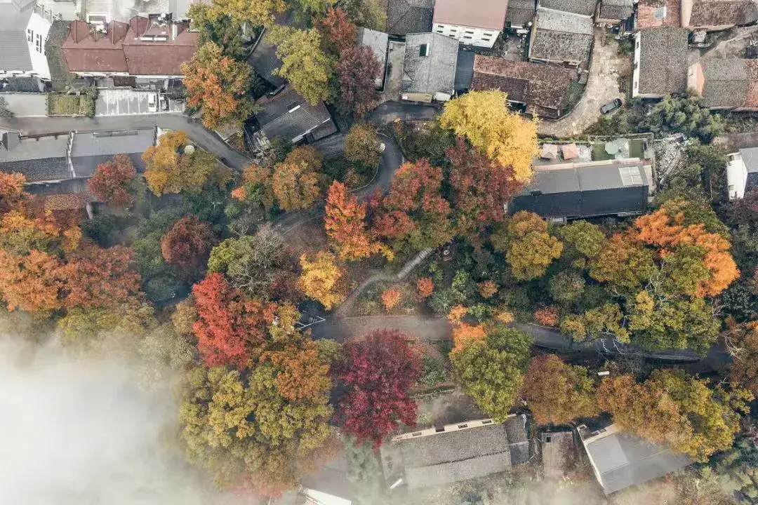 2025旅行计划,从临安开始!(图42) 临安百丈岭徒步路线_临安大明山滑雪乐园_浙江省临安市旅游景点