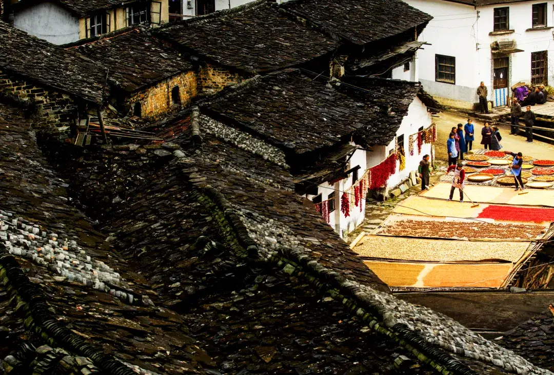 2025旅行计划,从临安开始!(图47) 临安大明山滑雪乐园_浙江省临安市旅游景点_临安百丈岭徒步路线