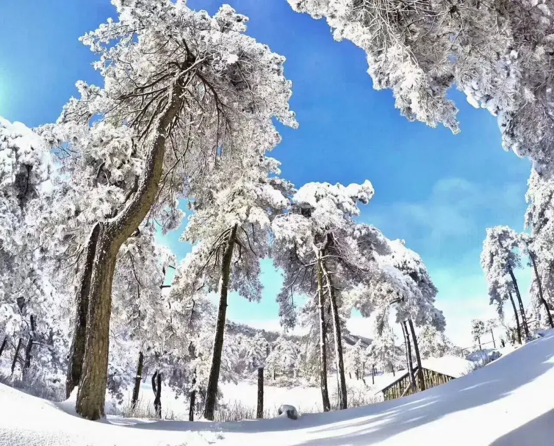 2025旅行计划,从临安开始!(图9) 浙江省临安市旅游景点_临安大明山滑雪乐园_临安百丈岭徒步路线