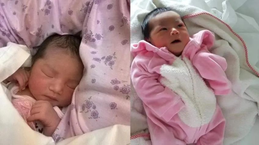 那个花17万跑意大利打工的人后来怎么样了(图20) 意大利披萨饼皮手法_意大利披萨饼_意大利披萨