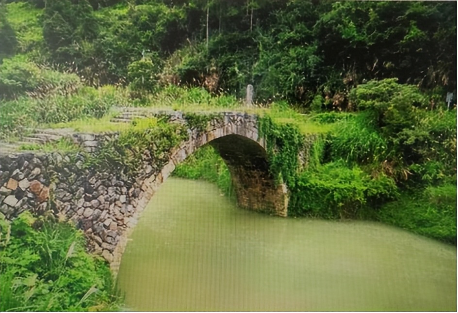 那个花17万跑意大利打工的人后来怎么样了(图3) 意大利披萨饼_意大利披萨饼皮手法_意大利披萨