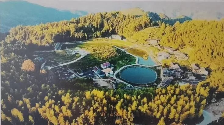 那个花17万跑意大利打工的人后来怎么样了(图4) 意大利披萨饼皮手法_意大利披萨饼_意大利披萨