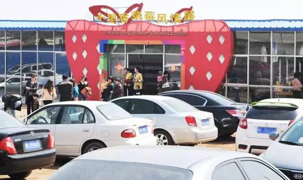 春节假期洛阳接待游客186.72万人次 揽金10.97亿元(图5) 洛阳东花园皇家庙会票多少钱一张_洛阳春节旅游市场_洛阳春节庙会活动