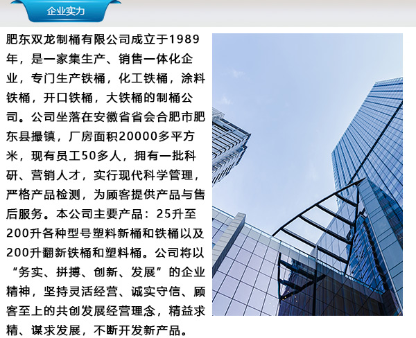 食品级吨桶 南京吨桶 双龙|支持定制(图2) 200l铁桶翻新设备_南京吨桶承重设计_集装桶包装成本降低