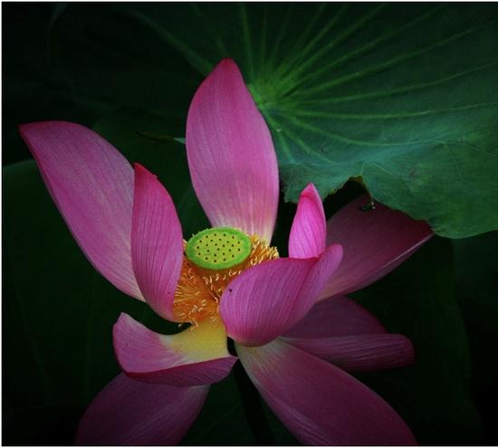 单反基础摄影技巧(图2) 什么是过时的拍摄手法2