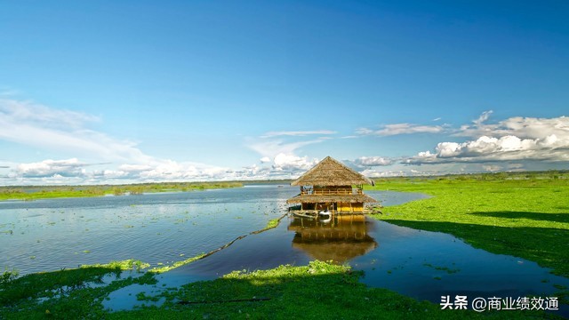 工厂利润从5%到15%:老板砍掉的不是成本,是这3个“假动作”(图2) 给利润率怎么算利润_制造业降本增效策略_跳出降本增笑怪圈