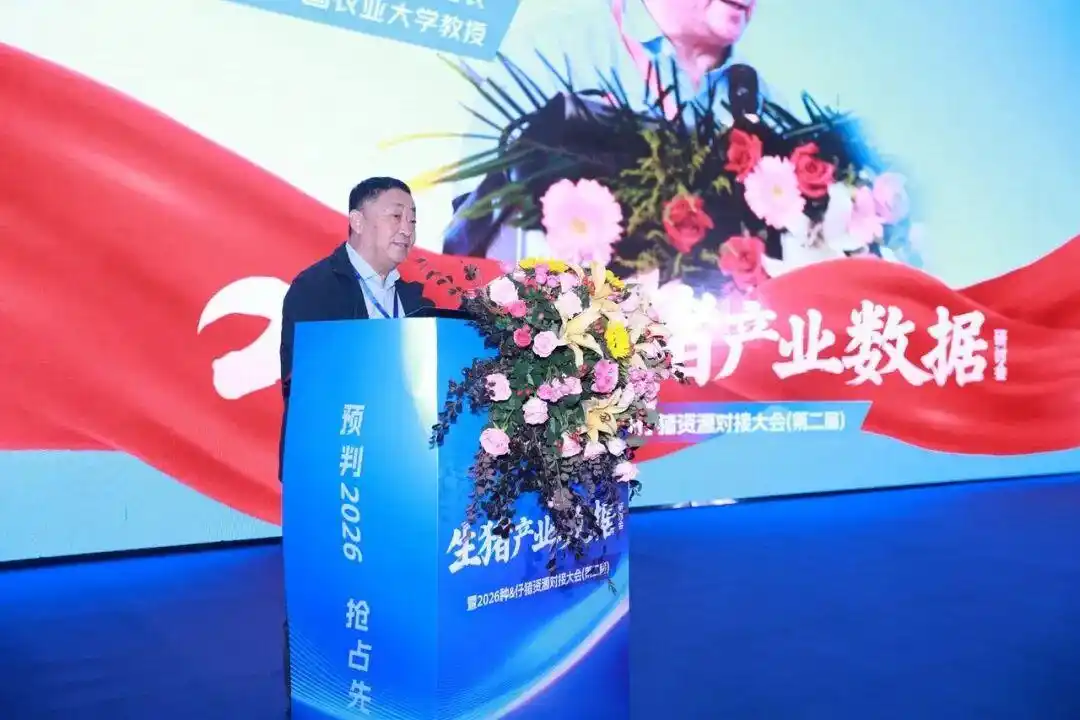 2026 养猪突围战!800猪业领航者齐聚河南,2026生猪产业数据研讨会盛大召开!(图2) 微利时代养猪业突围策略_2026生猪产业数据研讨会_养猪行情分析预测