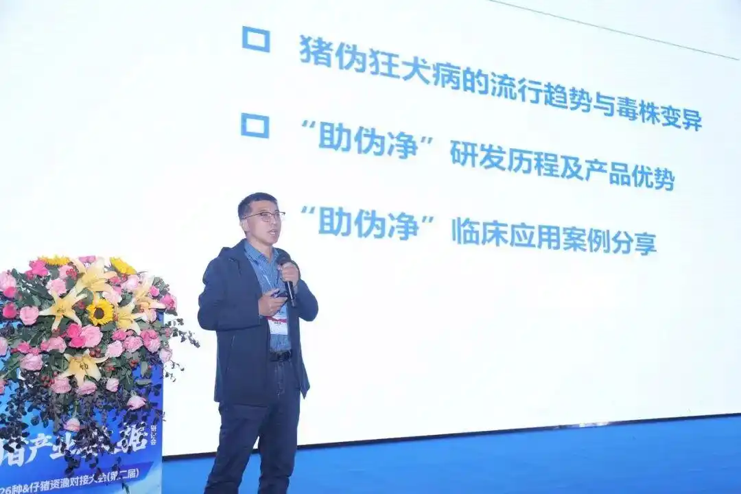 2026 养猪突围战!800猪业领航者齐聚河南,2026生猪产业数据研讨会盛大召开!(图17) 2026生猪产业数据研讨会_微利时代养猪业突围策略_养猪行情分析预测