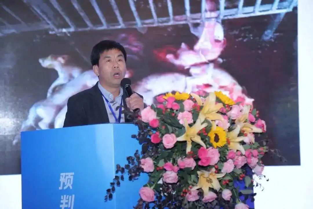 2026 养猪突围战!800猪业领航者齐聚河南,2026生猪产业数据研讨会盛大召开!(图20) 微利时代养猪业突围策略_养猪行情分析预测_2026生猪产业数据研讨会