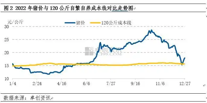 2022年猪市复盘及展望:养殖成本降至低位,盈利期到来(图2) 二次育肥补栏影响_养猪行情分析预测_生猪成本分体重趋势