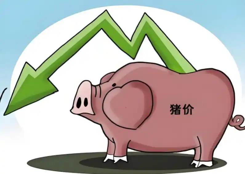 2026年猪周期梦:即将苏醒,还是彻底破碎?(图1) 供应压力对猪价影响分析_2026年生猪市场行情趋势_养猪行情分析预测