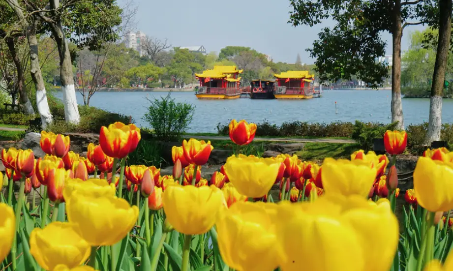 攻略!这个五一去嘉兴南湖可以这样玩→(图2) 夜游梅花洲国风演艺_梅花洲景区游玩攻略_南湖景区五一活动