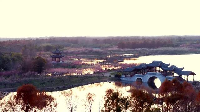 海湾国家森林公园赏梅攻略——游玩路线篇(图1) 海湾国家森林公园赏梅攻略——游玩路线篇