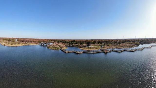 海湾国家森林公园赏梅攻略——游玩路线篇(图2) 海湾国家森林公园赏梅攻略——游玩路线篇