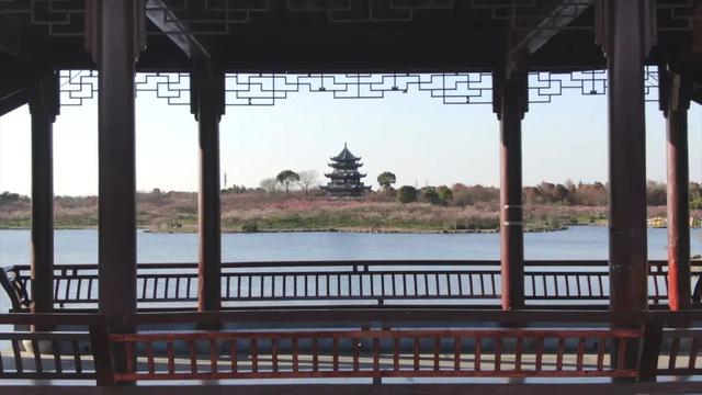 海湾国家森林公园赏梅攻略——游玩路线篇(图11) 海湾国家森林公园赏梅攻略——游玩路线篇