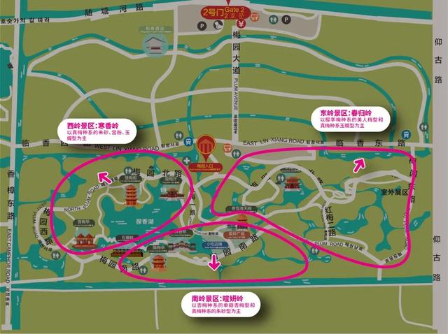 海湾国家森林公园赏梅攻略——游玩路线篇(图12) 海湾国家森林公园赏梅攻略——游玩路线篇